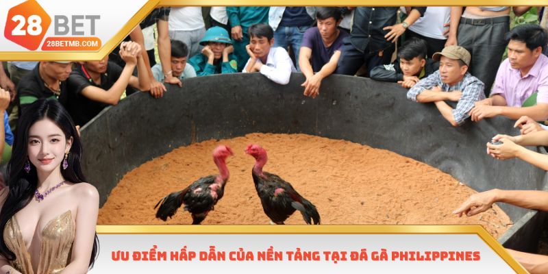Ưu điểm hấp dẫn của nền tảng tại đá gà Philippines